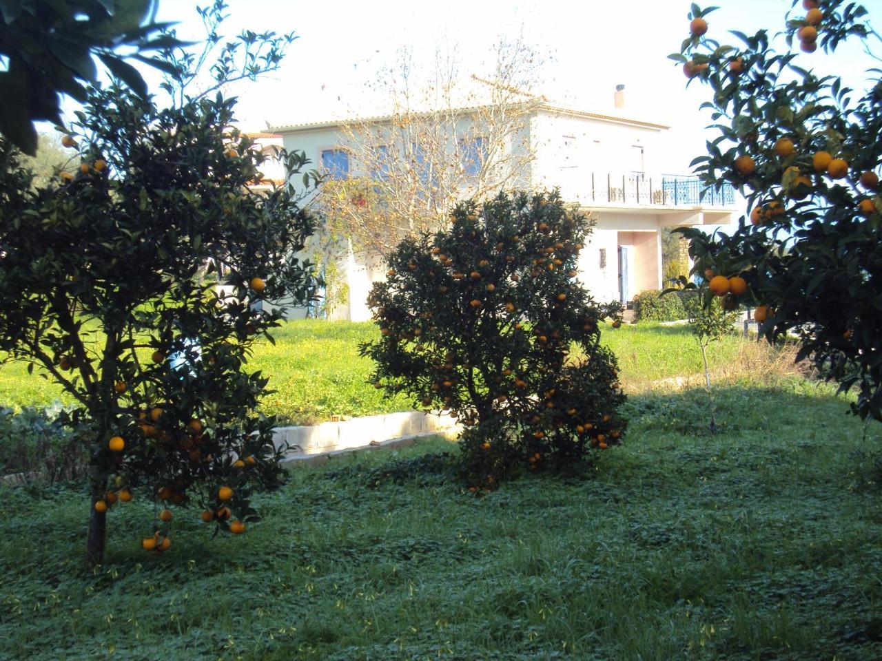 Villa Nostos Короні Екстер'єр фото