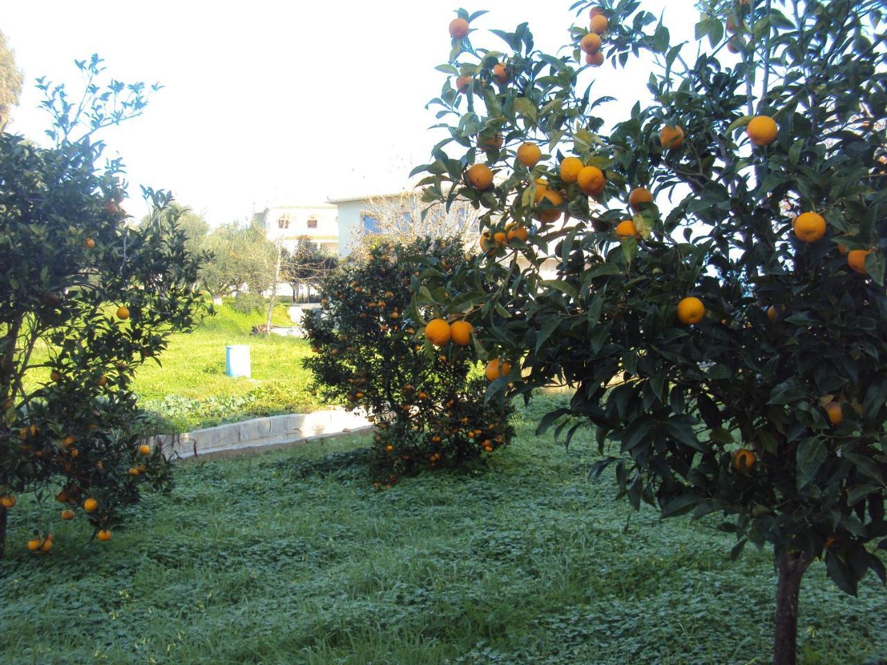 Villa Nostos Короні Екстер'єр фото